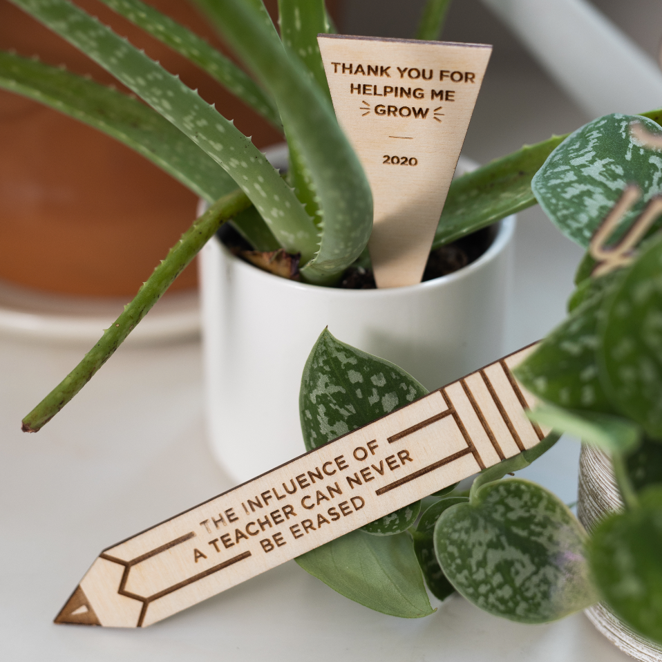 succulent tags Pencil Plant Tag